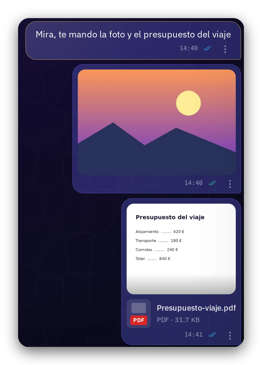 یک عکس و یک فایل PDF ارسالشده در گفتگو